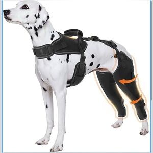 Dog Knee Brace for Torn Acl Hind Legs - Provides Joint Protection XL